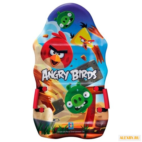 Ледянка 1 TOY Angry Birds Т56333