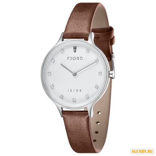 Наручные часы FJORD FJ-6041-01