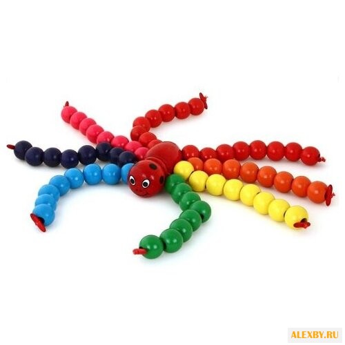 Шнуровка Mapacha Паук Бусиног