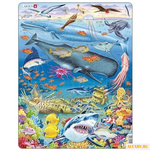 Рамка-вкладыш Larsen Киты FH20