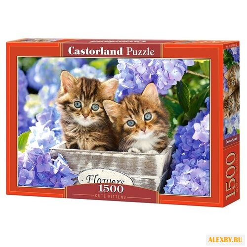 Пазл Castorland Cute Kittens