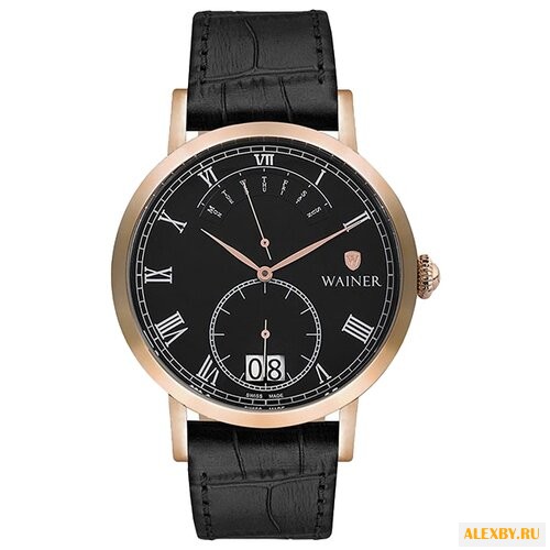 Наручные часы WAINER WA.18101-D