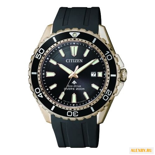 Наручные часы CITIZEN BN0193-17E