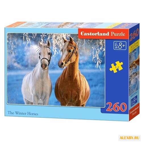 Пазл Castorland The Winter