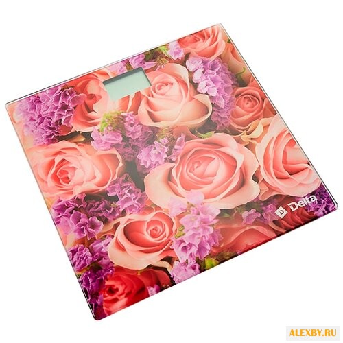 Весы DELTA D-9234