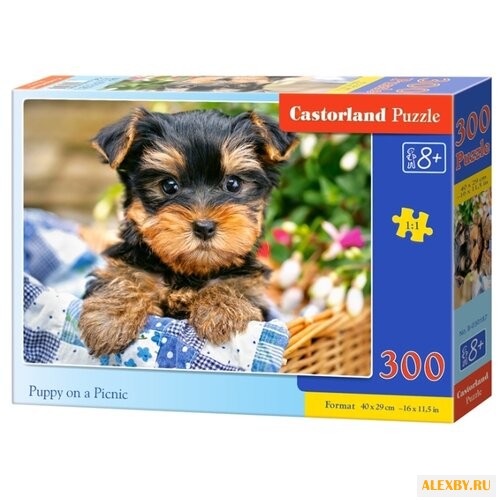 Пазл Castorland Puppy on a