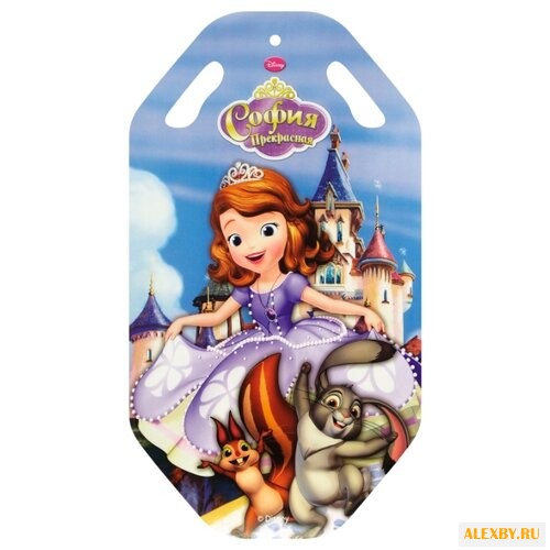 Ледянка 1 TOY София Т57205