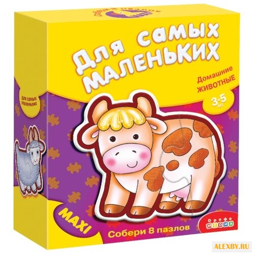 Набор пазлов Дрофа-Медиа ДСМ