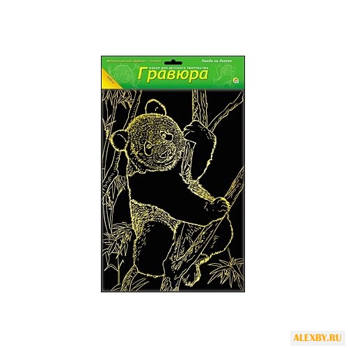 Гравюра Рыжий кот Панда на