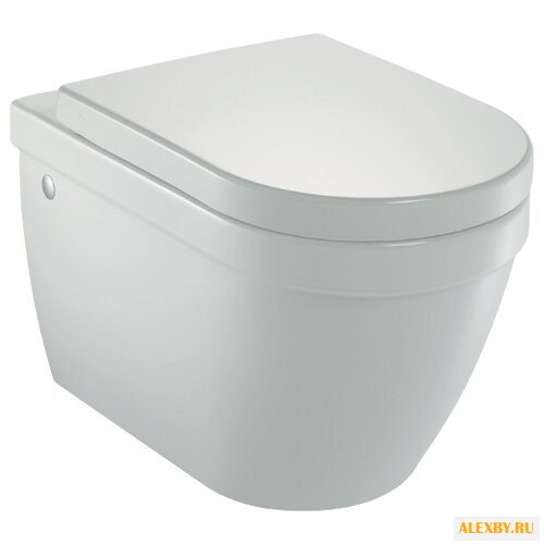 Унитаз Jacob Delafon Rodin