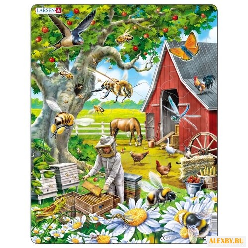 Рамка-вкладыш Larsen Лето US39