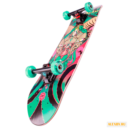 Скейтборд Tech Team Switch №2