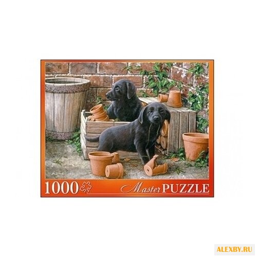 Пазл Рыжий кот Masterpuzzle