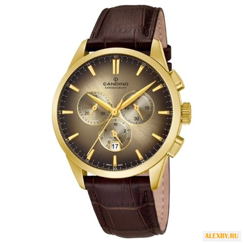Наручные часы CANDINO C4518_5