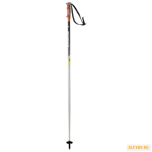 Палки для горных лыж Elan Exar