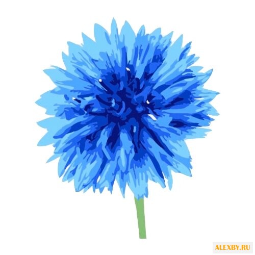 Цветной Картина по номерам