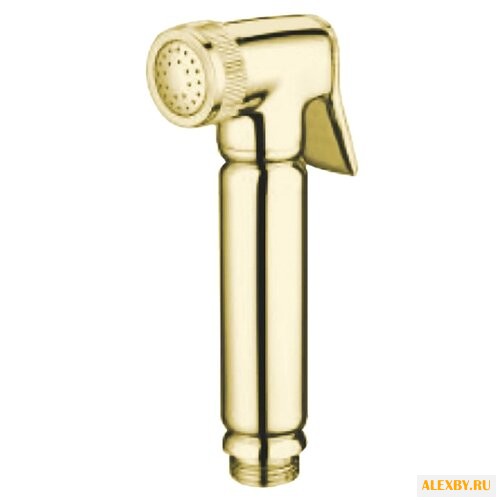 Лейка для гигиенического душа