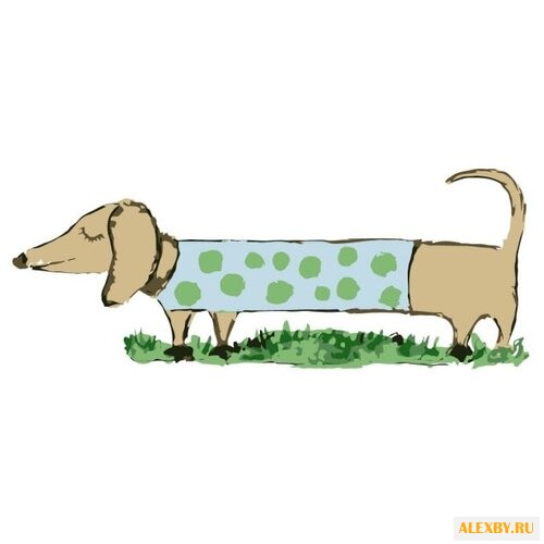 Цветной Картина по номерам