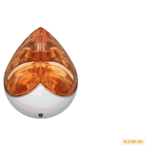 Alexander McQueen Kingdom