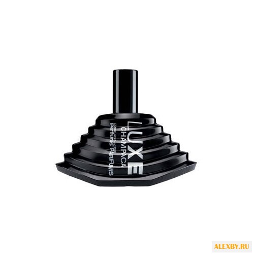 Comme Des Garcons Series Luxe: