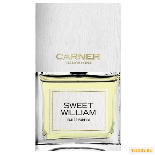 Carner Barcelona Sweet William