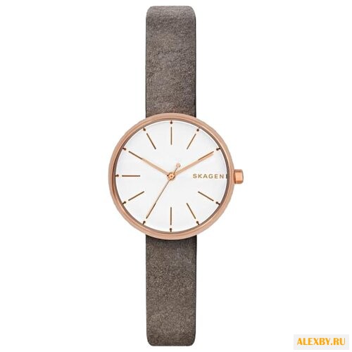 Наручные часы SKAGEN SKW2644