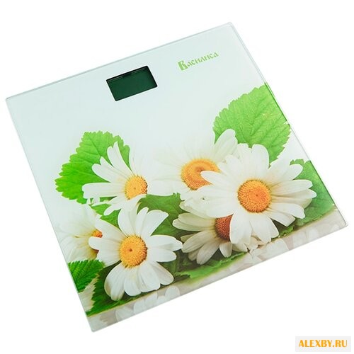 Весы Василиса ВА-4007