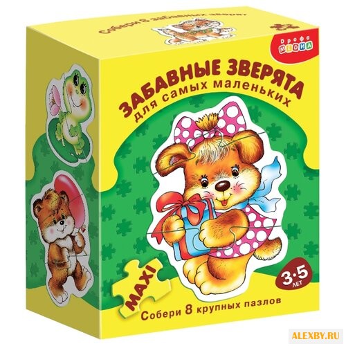 Набор пазлов Дрофа-Медиа ДСМ