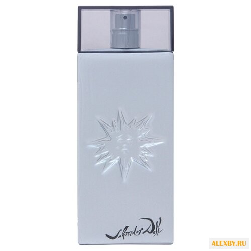 Salvador Dali Silver Sun