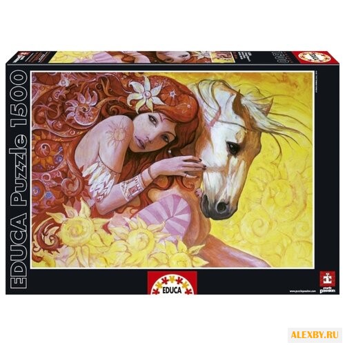 Пазл Educa Солнечный день в