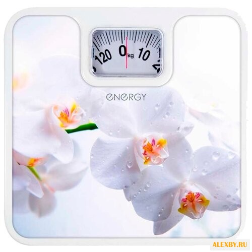 Весы Energy ENM-409E