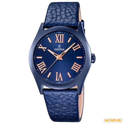 Наручные часы FESTINA F16649 5