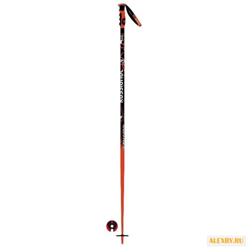 Палки для горных лыж Rossignol