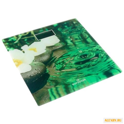 Весы Eurostek ЕВS-2806