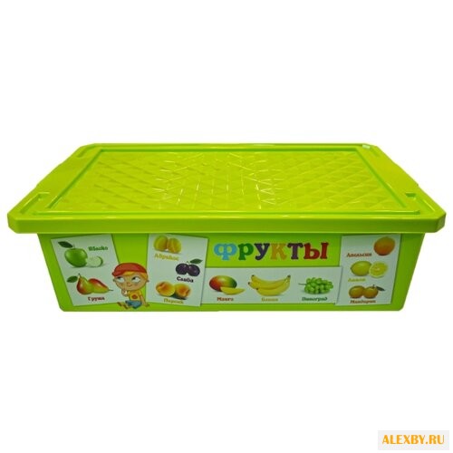 Контейнер Little Angel Обучайка