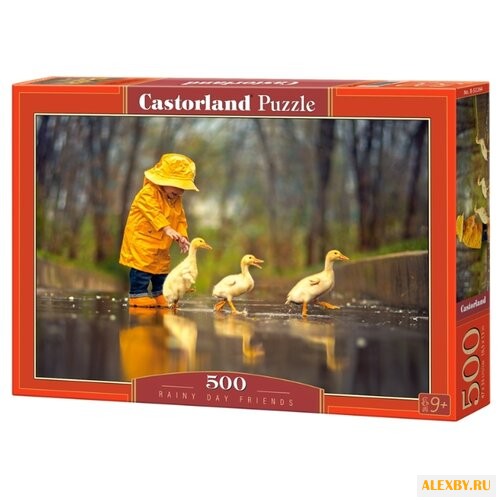 Пазл Castorland Rainy Day
