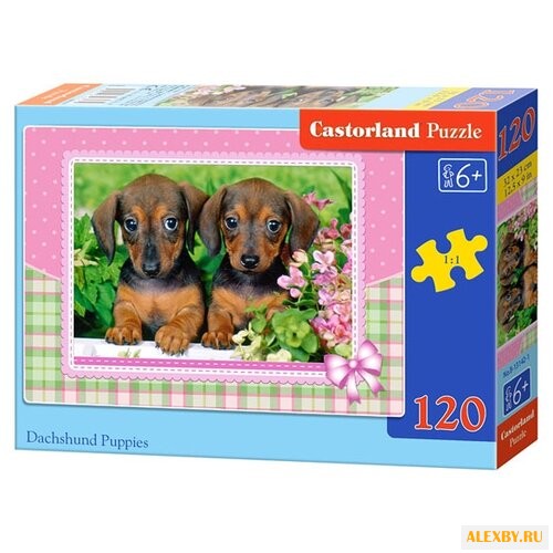 Пазл Castorland Dachshund