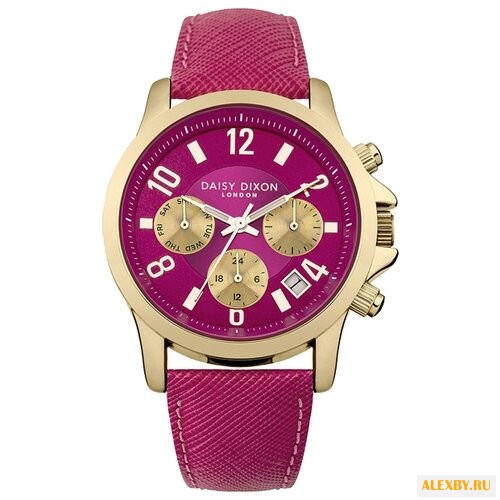 Наручные часы DAISY DIXON DD002PG