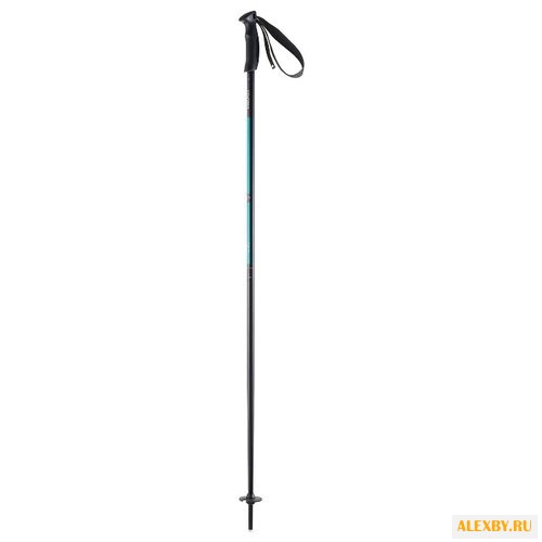 Палки для горных лыж HEAD Joy