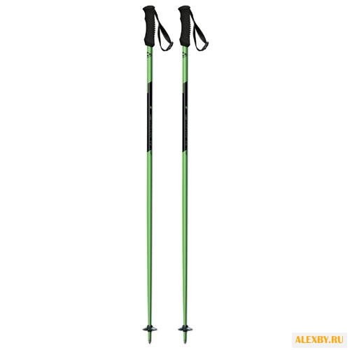 Палки для горных лыж Fischer