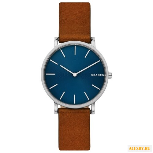 Наручные часы SKAGEN SKW6446