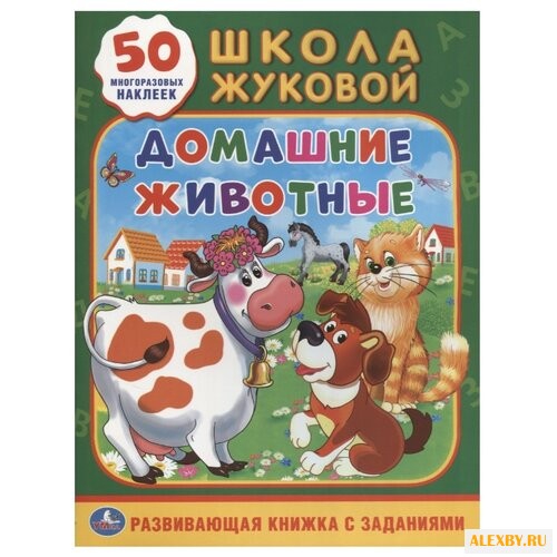 Жукова М. Школа Жуковой.