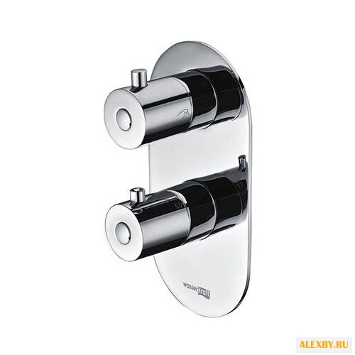 Термостатический двухрычажный