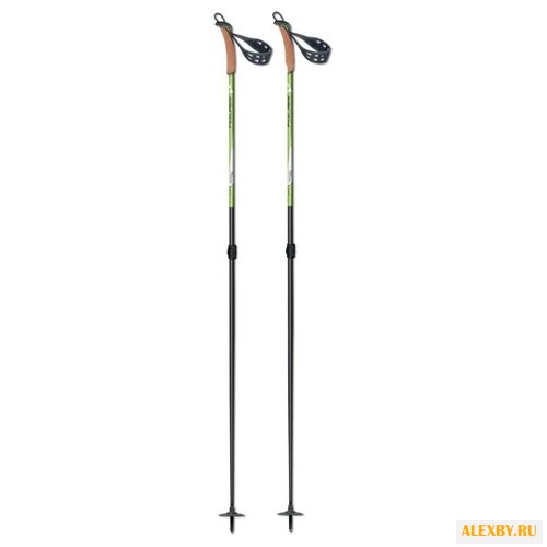 Лыжные палки Fischer BCX