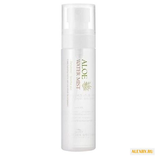 The Skin House Мист Aloe Water