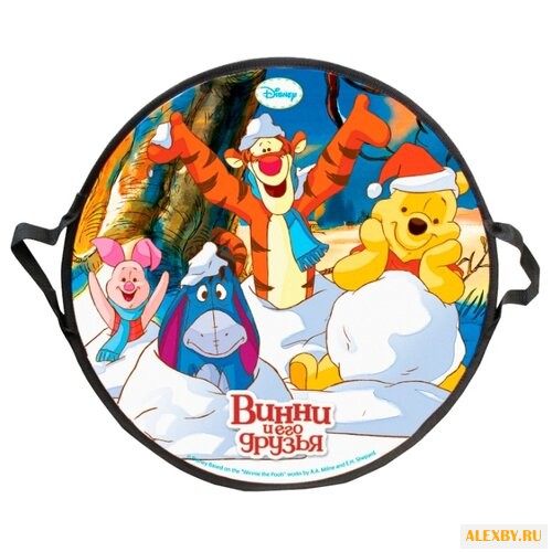 Ледянка 1 TOY Винни-Пух Т58164