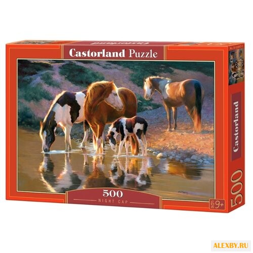 Пазл Castorland Hight Cap