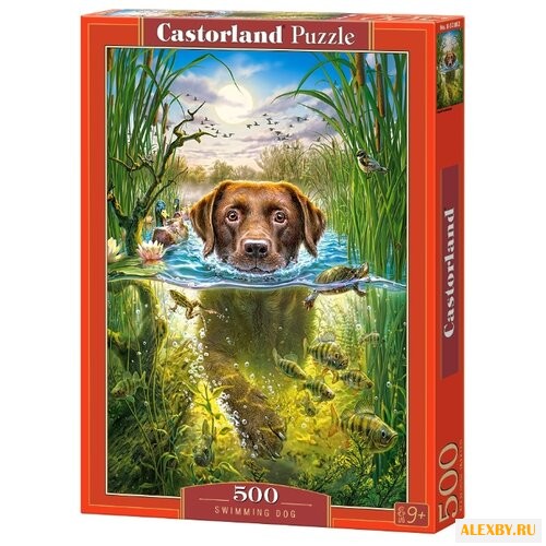 Пазл Castorland Swimming Dog