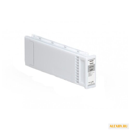 Картридж Epson C13T800000