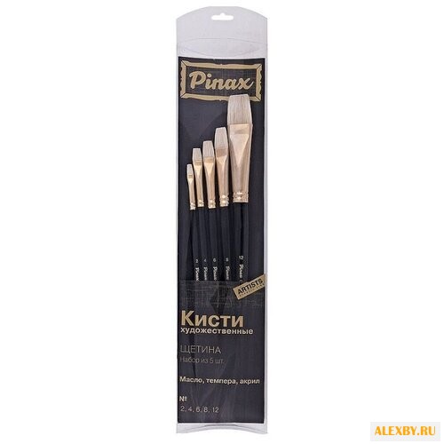 Набор кистей Pinax Artists